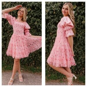 Ivy City Co Jess Dress Strawberry Fields Size XXS Tulle Stretch Smocked Tiered